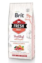 Brit Dog Fresh Beef & Pumpkin Puppy Large 2