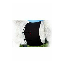 VETOFLEX Recovery Colic Belt Riding